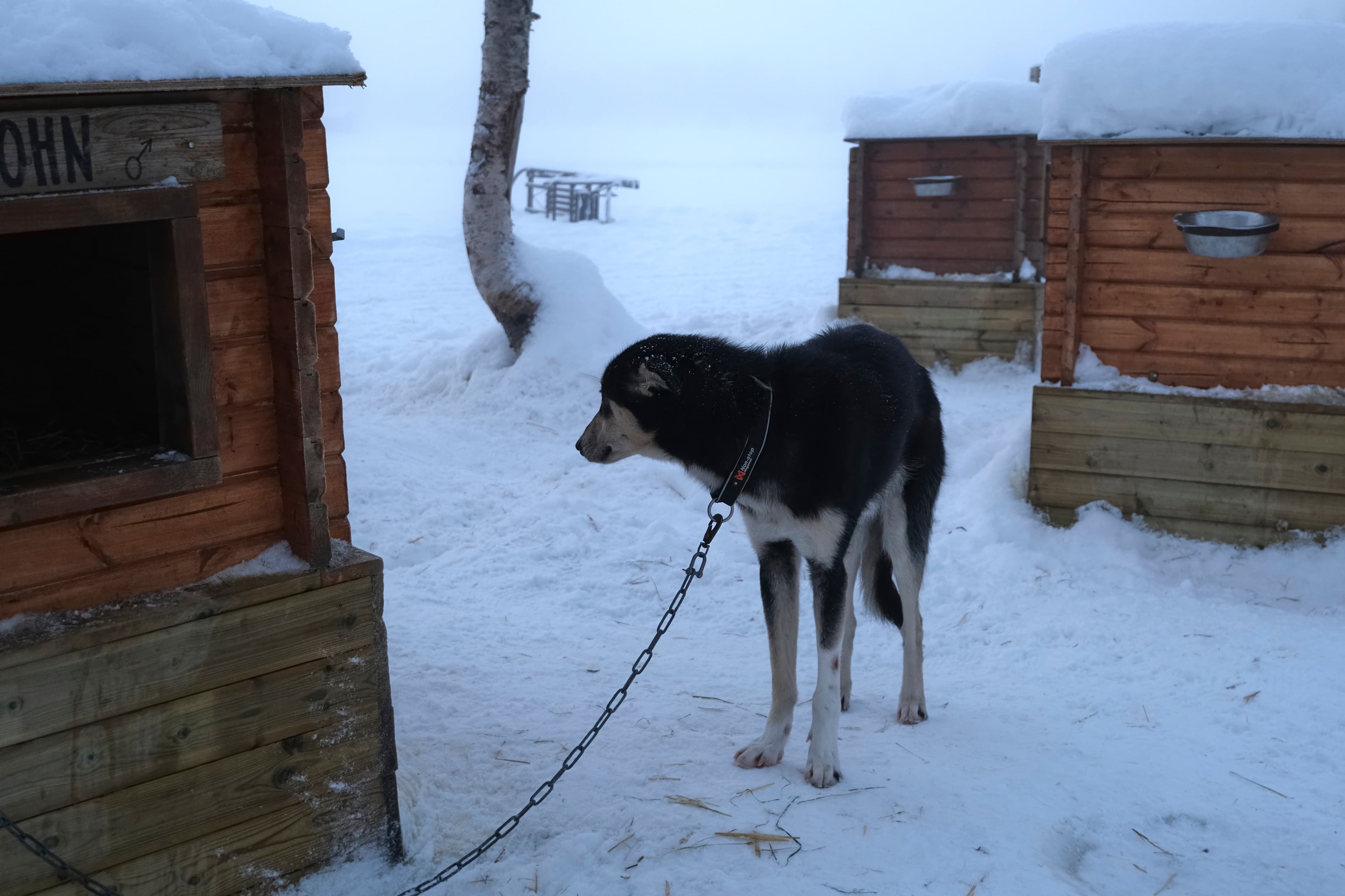 Tromsø Golfklubb